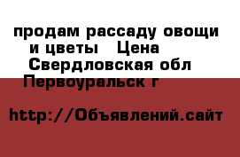продам рассаду овощи и цветы › Цена ­ 10 - Свердловская обл., Первоуральск г.  »    